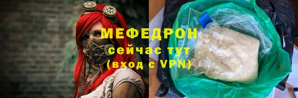 шишки Надым