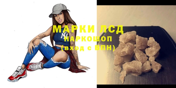 шишки Надым