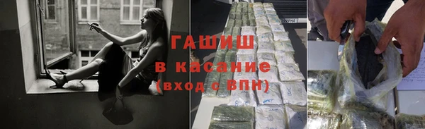шишки Надым
