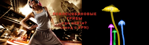 шишки Надым