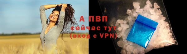 шишки Надым