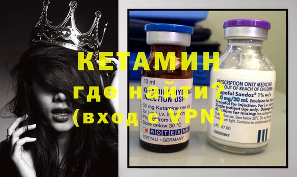 шишки Надым