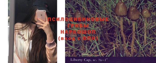 дурь Нефтегорск