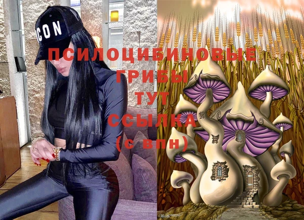 сатива Нефтекумск