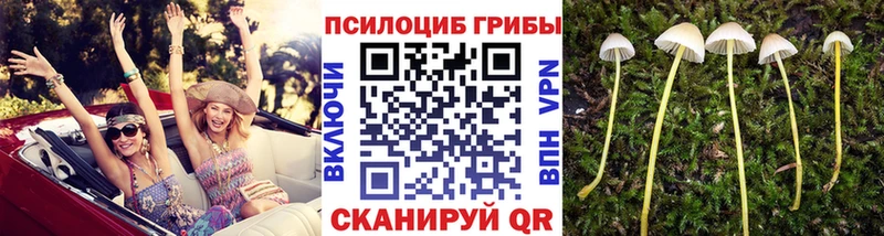 наркотики  Нефтегорск  Псилоцибиновые грибы прущие грибы 